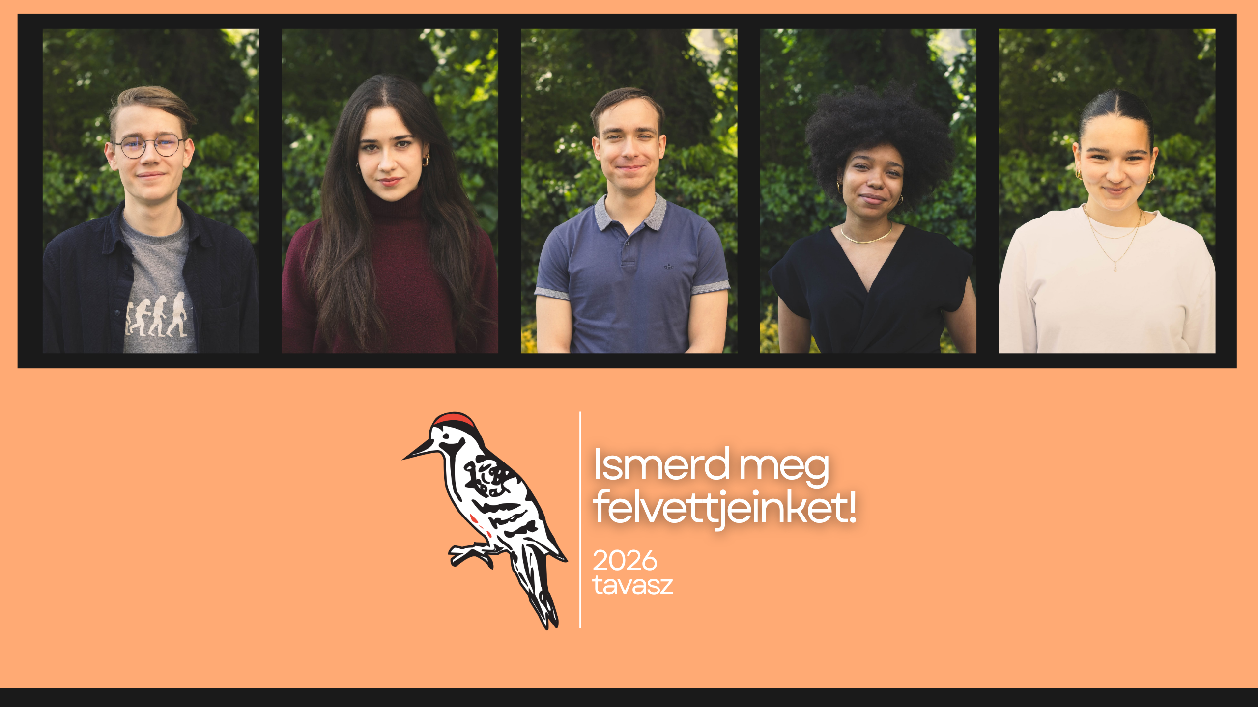 Ismerd meg felvettjeinket! 2026 tavasz – az öt felvett szakkollégista portréja